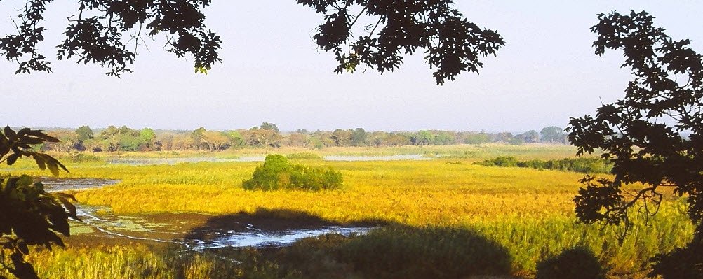 Kasanka National Park, Central Province (Serenje), Zambia